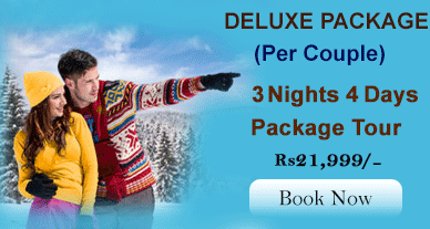 Srisailam Tour Packages