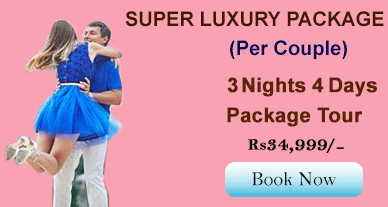 Hyderbad package tour, Mallikarjuna Swamy Darshan Srisailam Tour