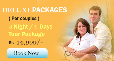 3 nights 4 days hyderabad package tour