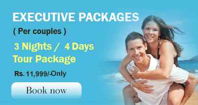 Hyderabad Package Tour